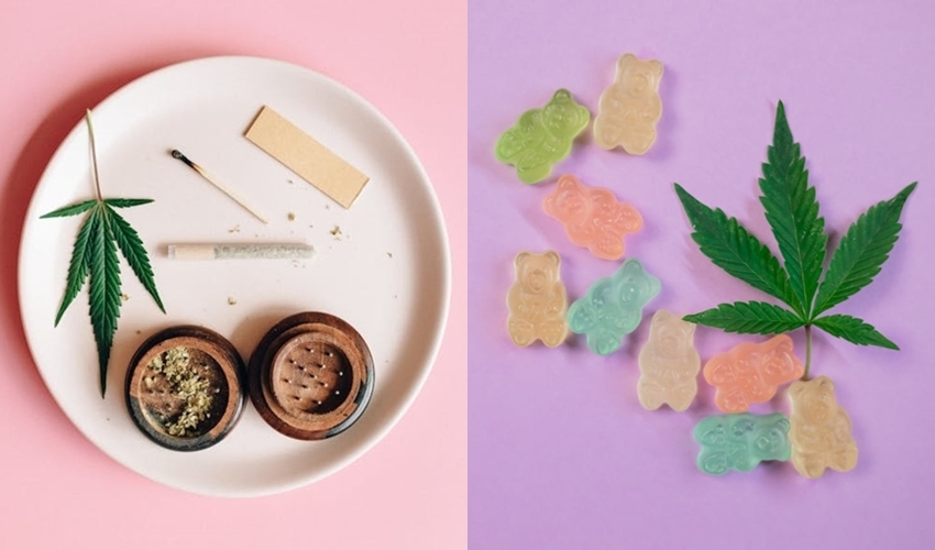 Smoking Cannabis vs. Eating Edibles: How They Compare